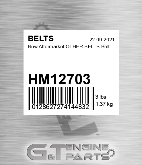 HM12703 New Aftermarket OTHER BELTS Belt