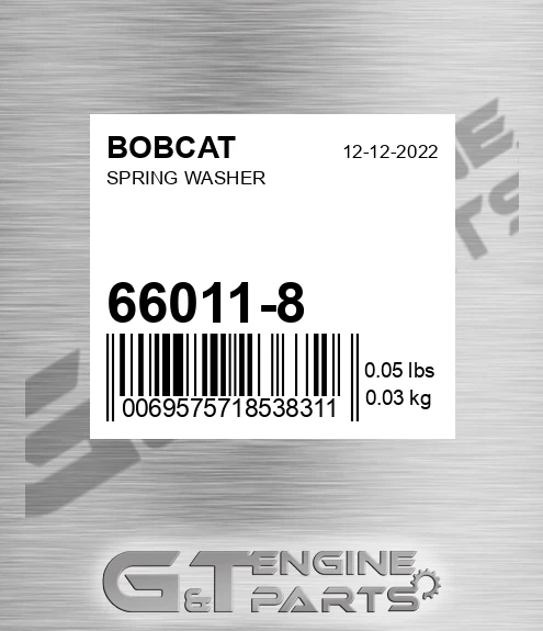 66011-8 Spring Washer