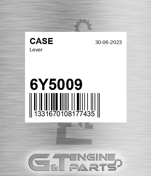 6Y5009 Lever