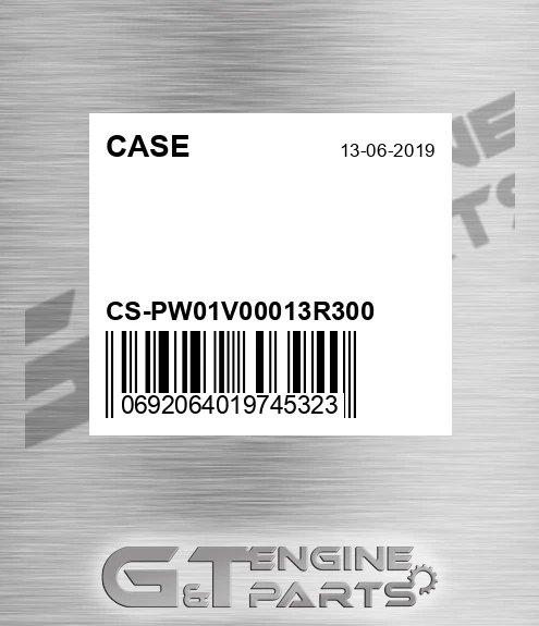 CS-PW01V00013R300