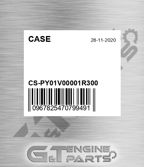 CS-PY01V00001R300