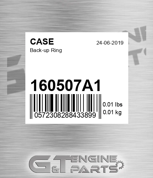 160507A1 Back-up Ring for CASE