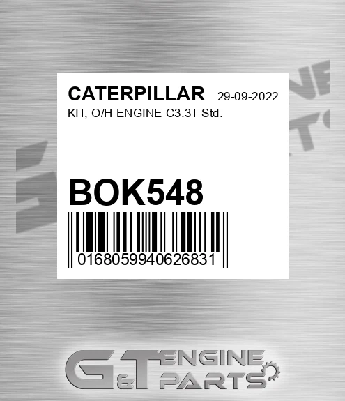 BOK548 KIT, O/H ENGINE C3.3T Std.