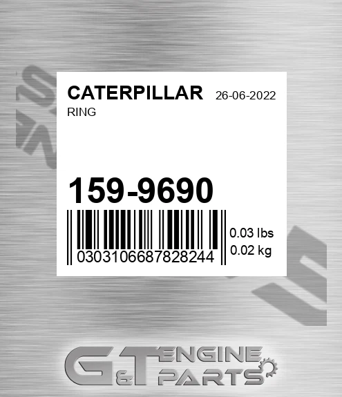 159-9690 Ring