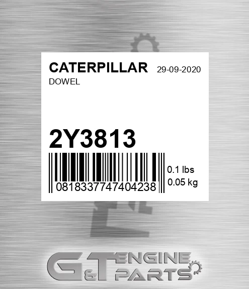 2Y-3813 Dowel