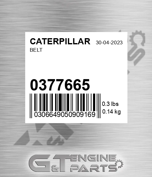 037-7665 Belt