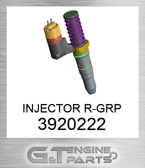 3920222 INJECTOR R-GRP
