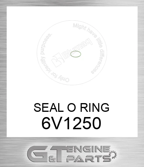 6V1250 SEAL O RING