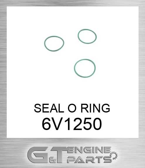 6V1250 SEAL O RING