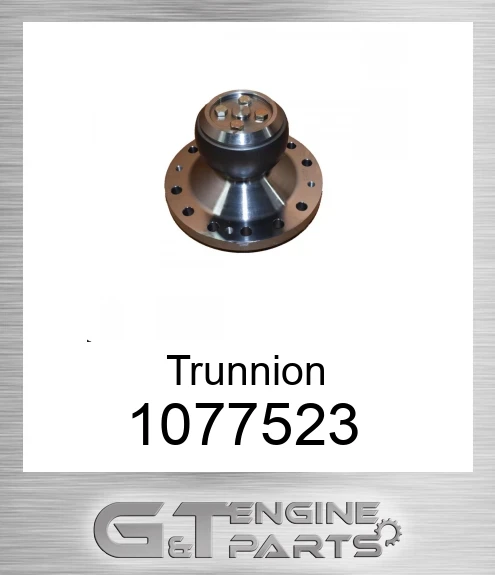 1077523 Trunnion Assy