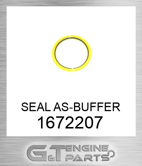 1672207 SEAL AS-BUFFER
