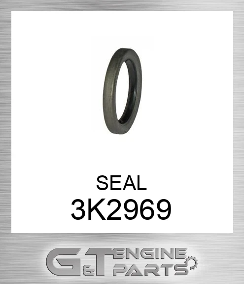 3K2969 SEAL