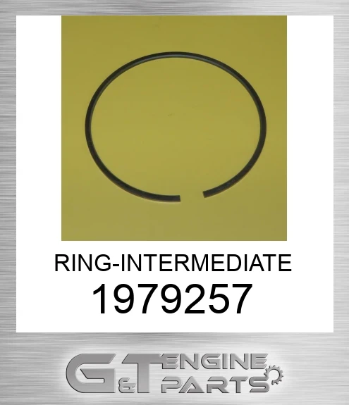 1979257 RING-INTERMEDIATE