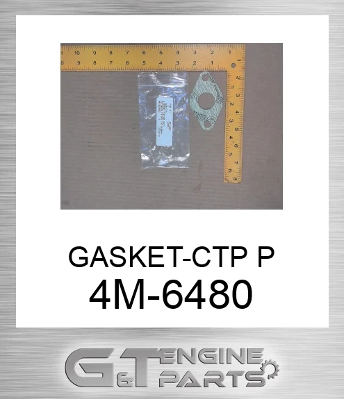 4M6480 GASKET-CTP P