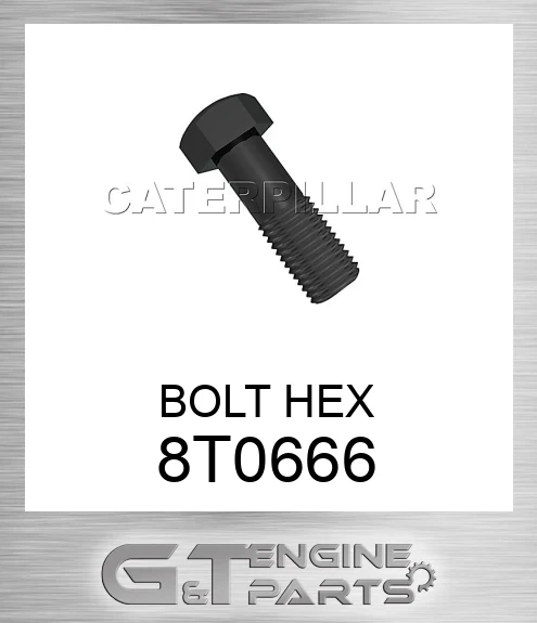 8T0666 BOLT HEX