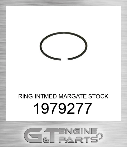 1979277 RING-INT PISTON