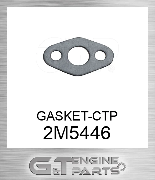 2M5446 GASKET-CTP