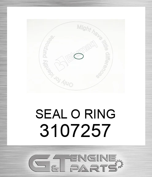 3107257 SEAL O RING