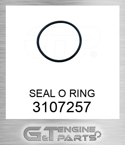 3107257 SEAL O RING