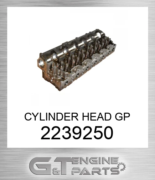 2239250 CYLINDER HEAD GP