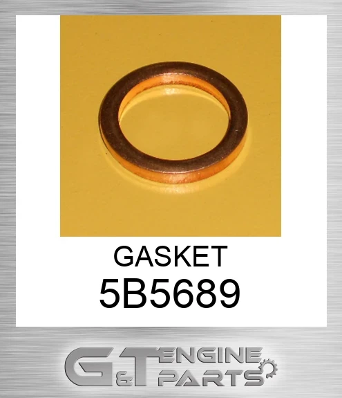 5B5689 GASKET