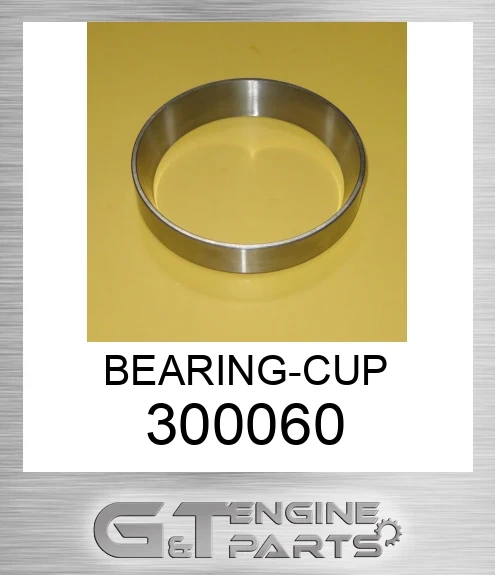 300060 BEARING-CUP