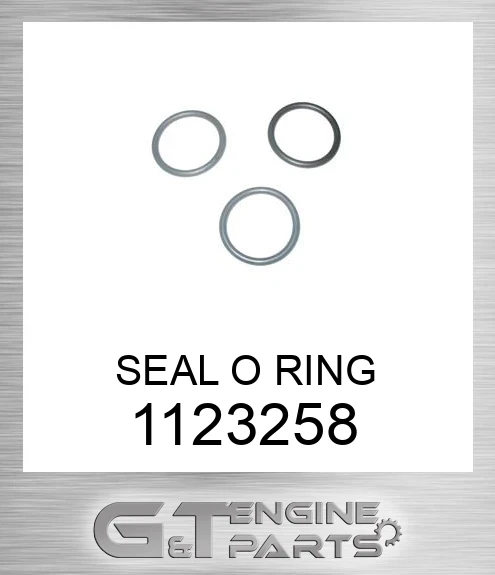 1123258 SEAL O RING