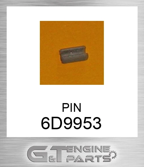6D9953 PIN