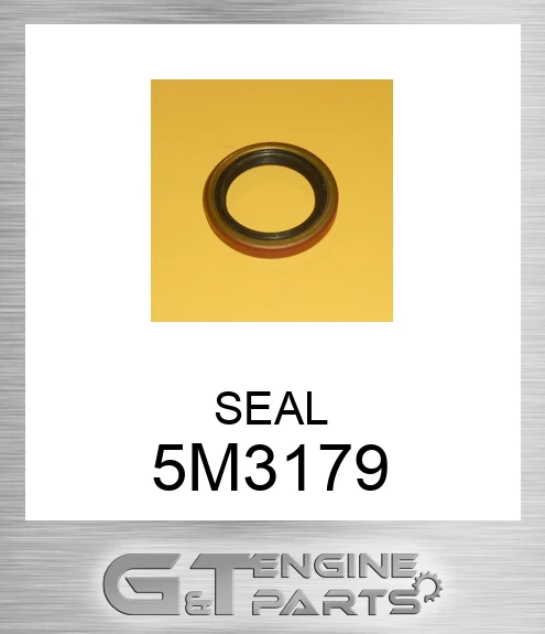 5M3179 SEAL