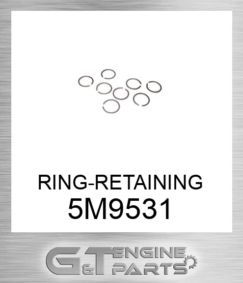 5M9531 Ring