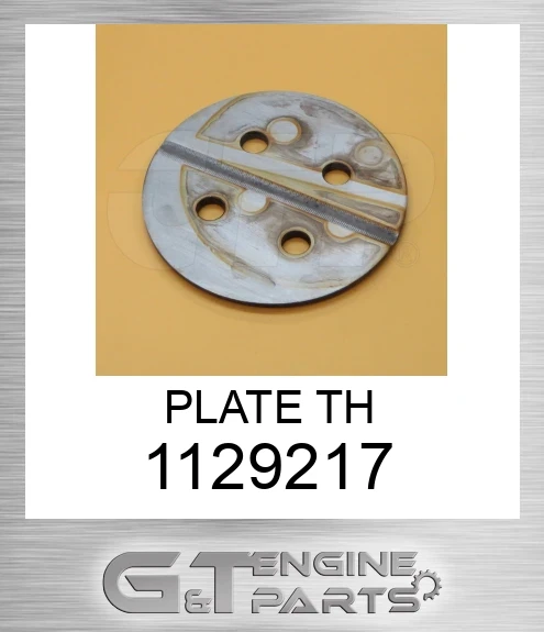 1129217 PLATE TH