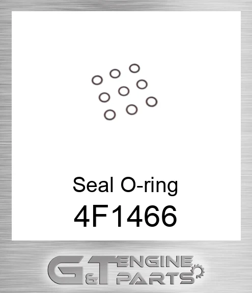 4F-1466 Seal O-ring