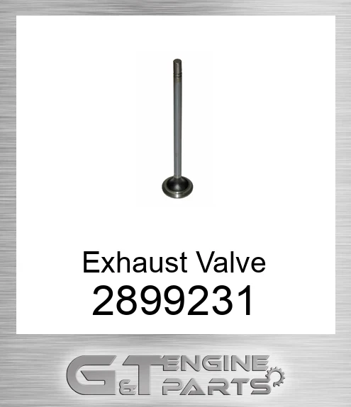 2899231 Exhaust Valve
