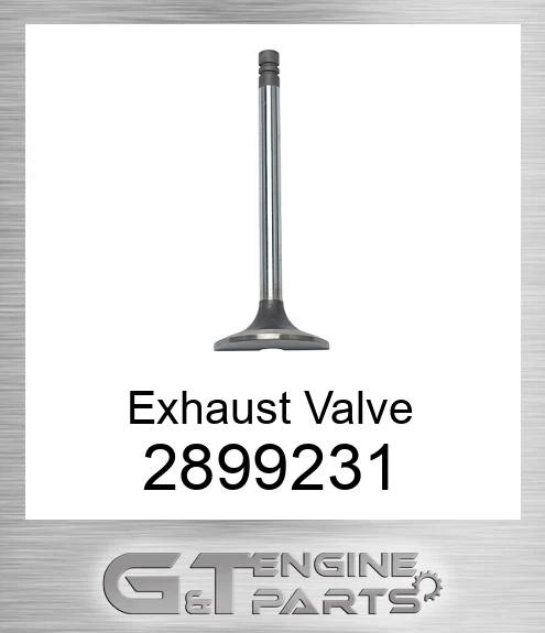2899231 Exhaust Valve