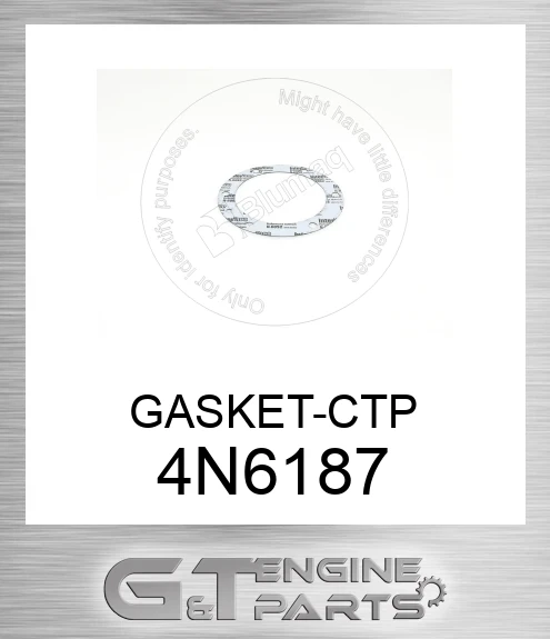 4N6187 GASKET-CTP