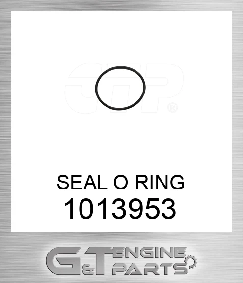 1013953 SEAL O RING