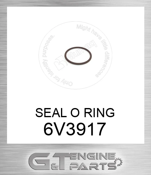 6V3917 SEAL O RING