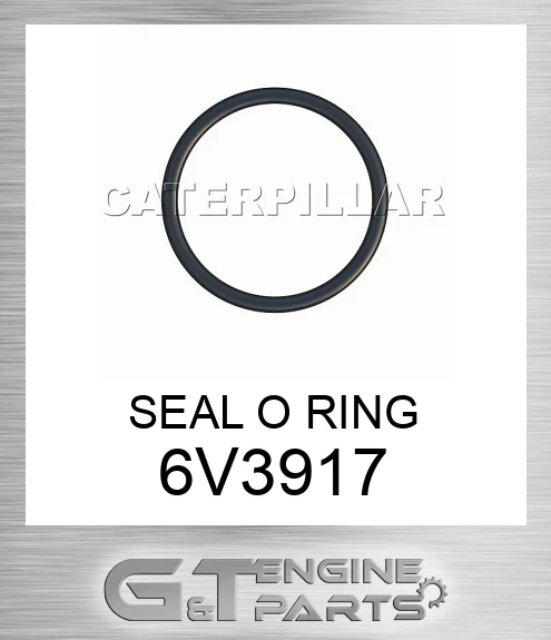 6V3917 SEAL O RING