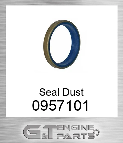 095-7101 Seal, Dust