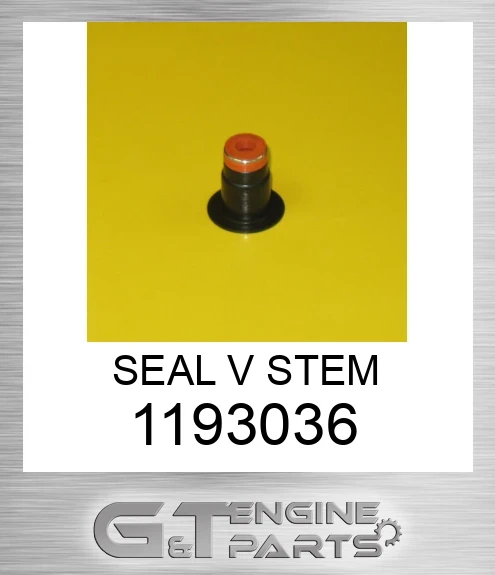 1193036 SEAL V STEM