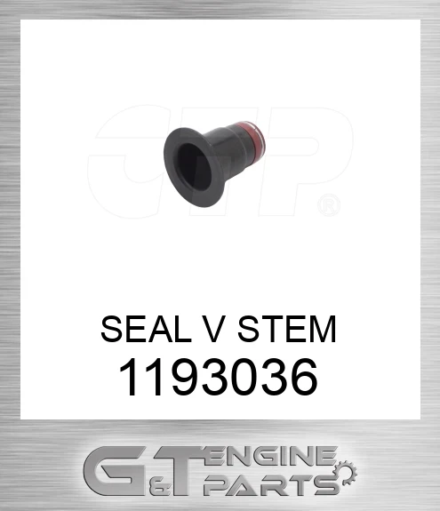 1193036 SEAL V STEM