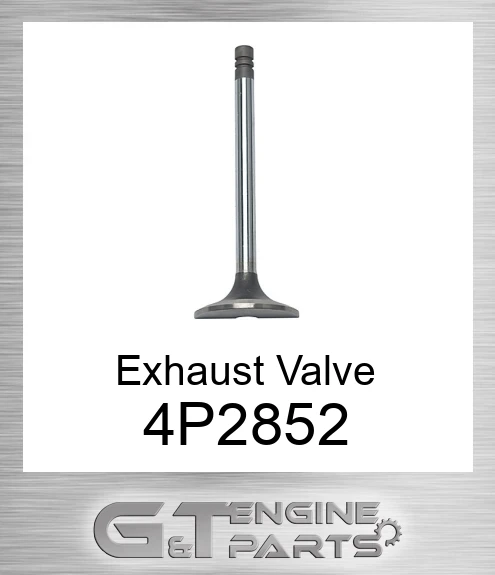 4P2852 Exhaust Valve