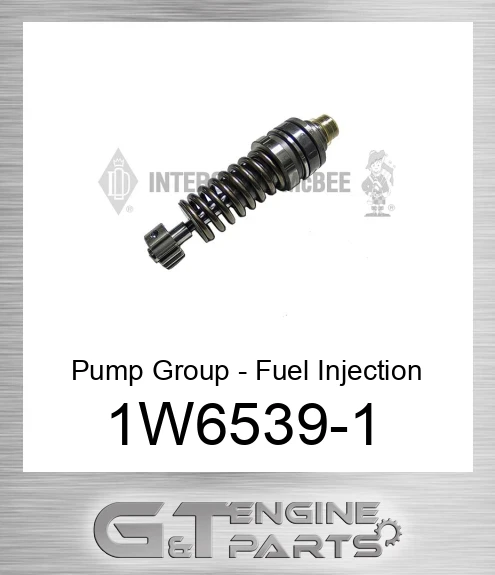 1W6539-1 Pump Group - Fuel Injection