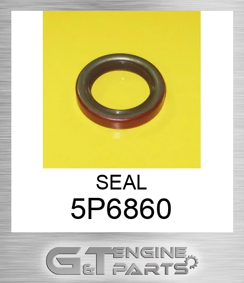 5P6860 SEAL