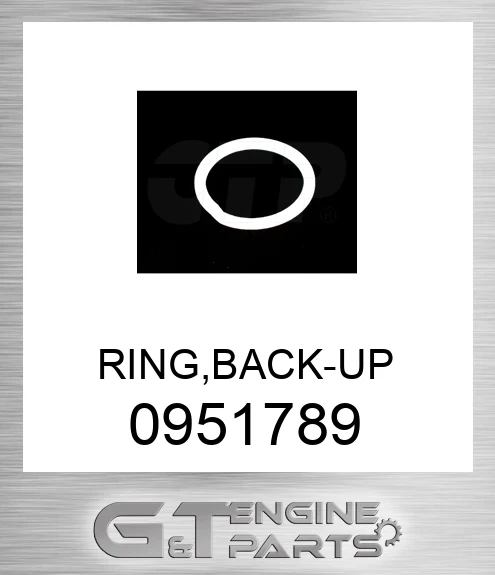0951789 RING,BACK-UP