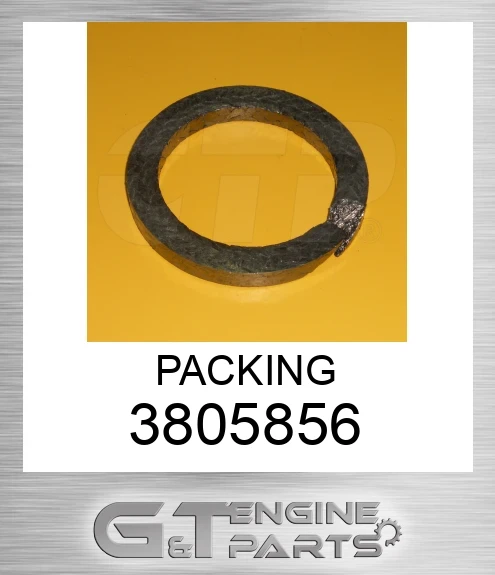 3805856 PACKING