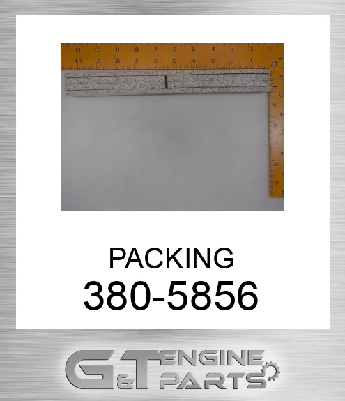 3805856 PACKING