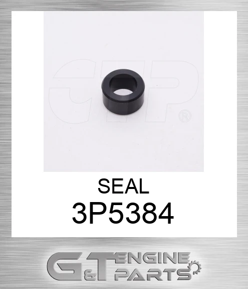 3P5384 SEAL