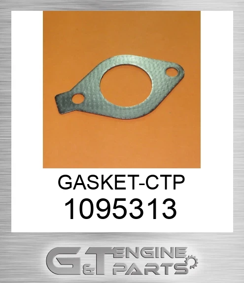 1095313 GASKET-CTP