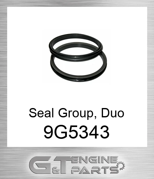 9G5343 Seal, Duo Cone